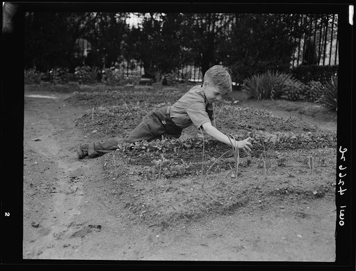 New York, New York. Children's school victory gardens on First Avenue between Thirty-fifth and Thirty-sixth Streets