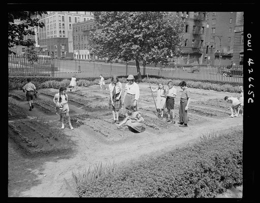 New York, New York. Children's school victory gardens on First Avenue between Thirty-fifth and Thirty-sixth Streets