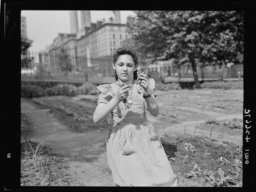 New York, New York. Children's school victory gardens on First Avenue between Thirty-fifth and Thirty-sixth Streets