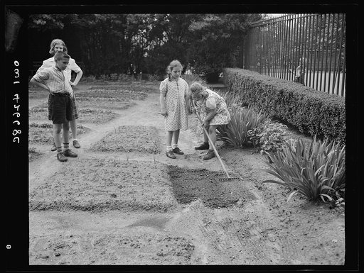 New York, New York. Children's school victory gardens on First Avenue between Thirty-fifth and Thirty-sixth Streets