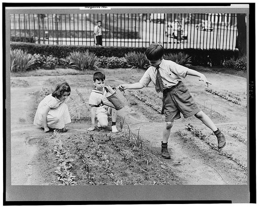 New York, New York. Children's school victory gardens on First Avenue between Thirty-fifth and Thirty-sixth Streets