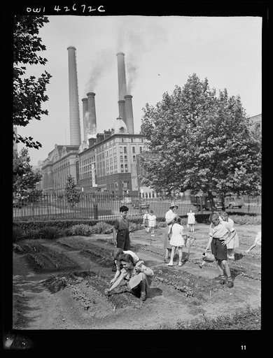 New York, New York. Children's school victory gardens on First Avenue between Thirty-fifth and Thirty-sixth Streets
