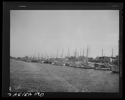 Tarpon Springs, Florida. Deep sea sponge fishing fleet in the harbor