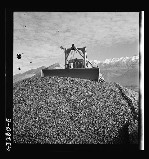 Untitled photo, possibly related to: Columbia Steel Company at Geneva, Utah. Bulldozer handling gravel for concrete during the construction of a new steel mill which will make important additions to the vast amount of steel needed for the war effort