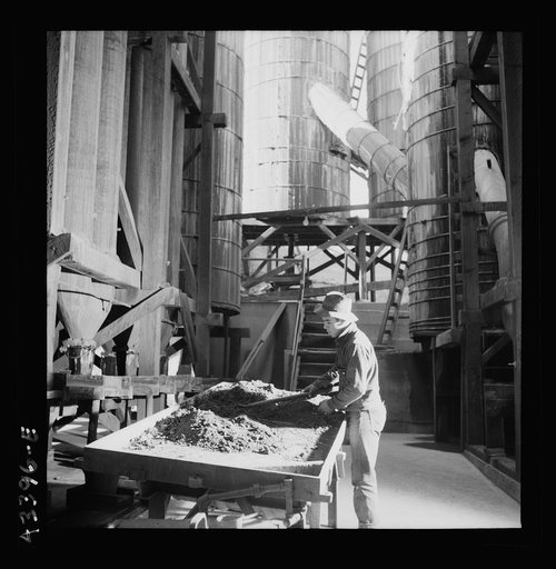 New Idria, California. Collecting mercury by hand from soot deposited in the condenser chamber at the mercury extraction plant of the New Idria Quicksilver Mining Company
