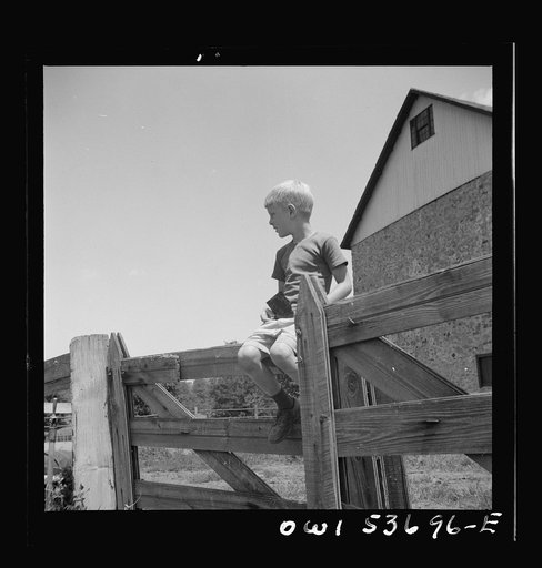 Dresher, Pennsylvania. A young visitor to the Spring Run Farm