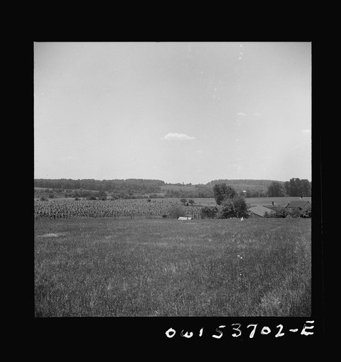 Dresher, Pennsylvania. General view of Spring Run Farm