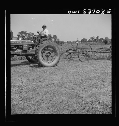 Dresher, Pennsylvania. Raking hay into rows prior to being picked up by baler at the Spring Run Farm