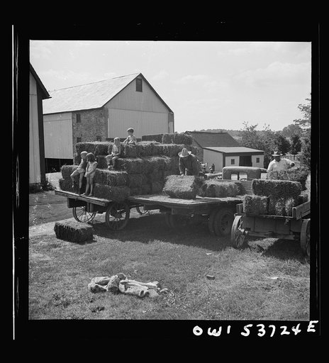 Dresher, Pennsylvania. Baled hay on a truck and wagons at the Spring Run Farm