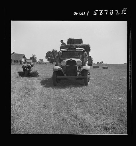 Dresher, Pennsylvania. Loading baled hay onto a truck at the Spring Run Farm