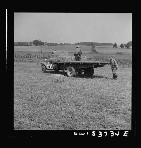 Untitled photo, possibly related to: Dresher, Pennsylvania. Driving a loaded truck back from the field at the Spring Run Farm