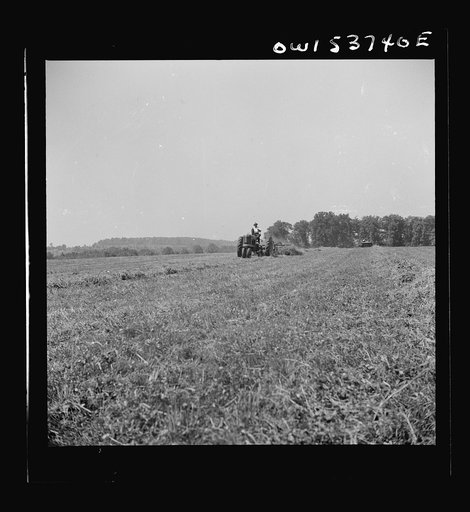 Untitled photo, possibly related to: Dresher, Pennsylvania. Raking hay into rows prior to being picked up by baler at the Spring Run Farm