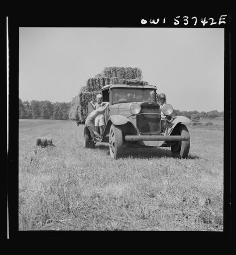 Untitled photo, possibly related to: Dresher, Pennsylvania. Driving a loaded truck back from the field at the Spring Run Farm