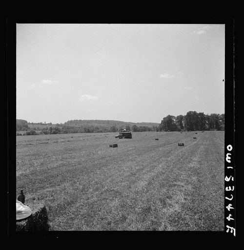 Dresher, Pennsylvania. A hay baling machine and rows of baled hay at the Spring Run Farm