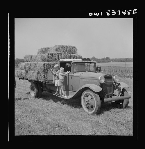 Dresher, Pennsylvania. Driving a loaded truck back from the field at the Spring Run Farm