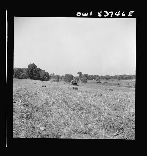 Untitled photo, possibly related to: Dresher, Pennsylvania. Driving a loaded truck back from the field at the Spring Run Farm