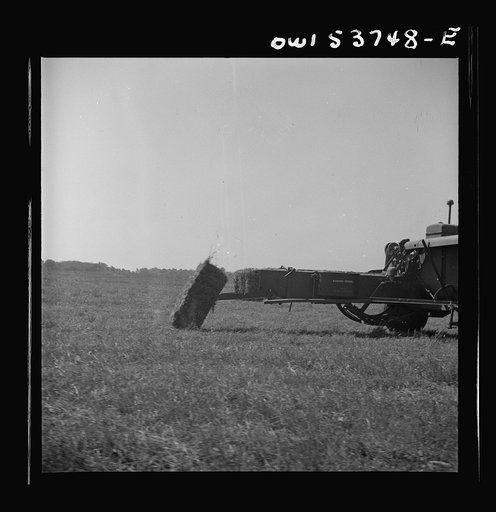 Dresher, Pennsylvania. A bale of hay being dropped off the hay baling machine