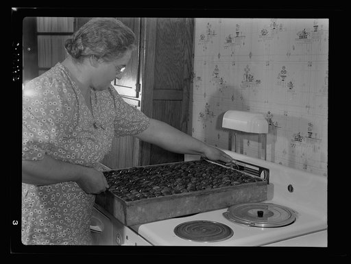 Prunes in tin dryer on top of an electric stove where they will stand for twenty-four to thirty-six hours