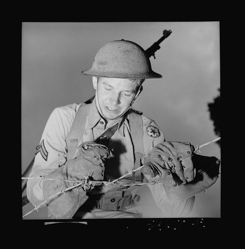Fort Belvoir, Virginia. A soldier handling barbed wire with special gloves which are clasped instead of sewn together