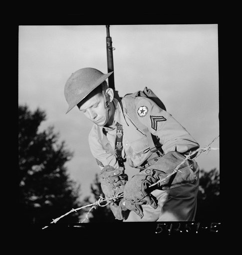 Fort Belvoir, Virginia. A soldier handling barbed wire with special gloves which are clasped instead of sewn together