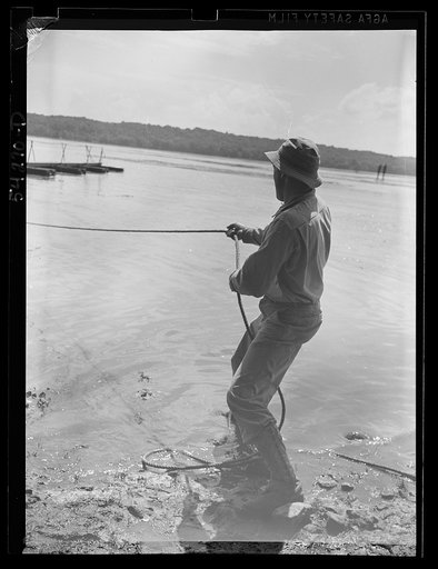 Fort Belvoir, Virginia. A soldier of the United States Army Engineer Corps pulling a pontoon bridge into place with a rope