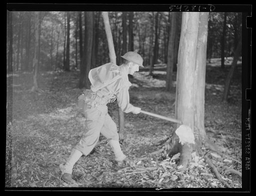 Fort Belvoir, Virginia. A soldier chopping down a tree