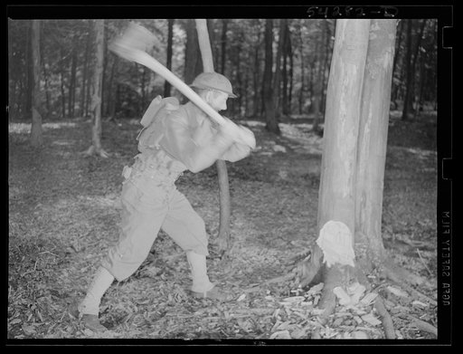 Fort Belvoir, Virginia. A soldier chopping down a tree