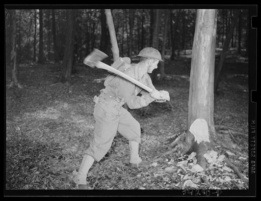 Untitled photo, possibly related to: Fort Belvoir, Virginia. A soldier chopping down a tree