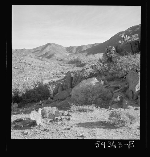 Kingman (vicinity), Arizona. A general view of the desert mountain type of country in which tungsten ore is mined by the Boriana mining company. Cacti and sage brush, shown here, represent the only vegetation in the scene