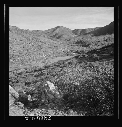 Kingman (vicinity), Arizona. A general view of the desert mountain type of country in which tungsten ore is mined by the Boriana mining company