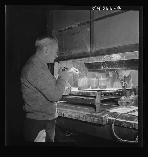 Kingman (vicinity), Arizona. Mr. Relling, scientist in the laboratory of a concentrating plant, analyzing tungsten ore over a hot plate