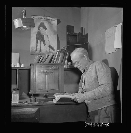 Kingman (vicinity), Arizona. Mr. Relling, in the laboratory, analyzing tungsten ore and concentrates in a plant near the Boriana mines where the chromium-like metallic elements are obtained