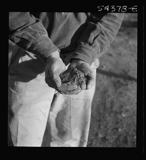 Kingman (vicinity), Arizona. Powdered tungsten ore, mined near Kingman at the Boriana workings. This ore is used to increase the hardness of steel for cutting tools and, since the war, has been used for many vital war purposes
