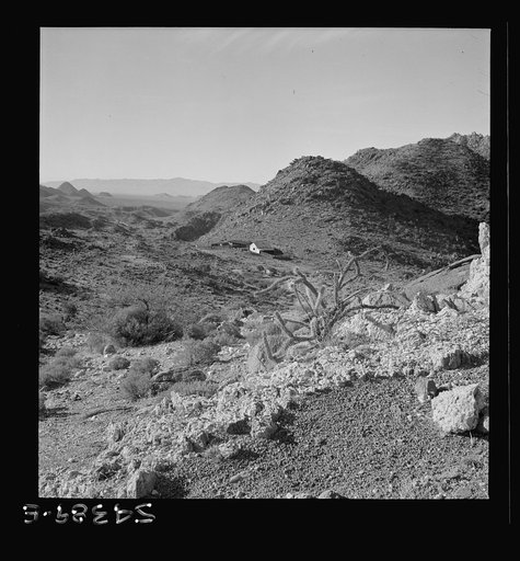 Untitled photo, possibly related to: Kingman (vicinity), Arizona. A view of a lonely ranch on the road to the Boriana mine, where tungsten ore is obtained, showing the type of desert coutry surrounding it