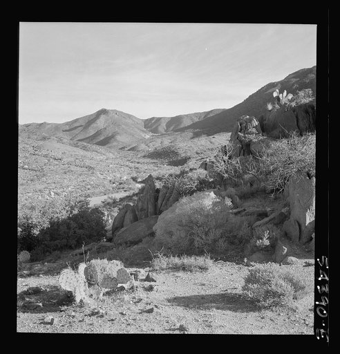 Untitled photo, possibly related to: Kingman (vicinity), Arizona. A general view of the desert mountain type of country in which tungsten ore is mined by the Boriana mining company. Cacti and sage brush, shown here, represent the only vegetation in the scene