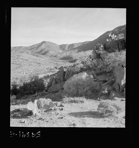 Untitled photo, possibly related to: Kingman (vicinity), Arizona. A general view of the desert mountain type of country in which tungsten ore is mined by the Boriana mining company. Cacti and sage brush, shown here, represent the only vegetation in the scene