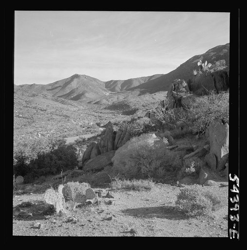Untitled photo, possibly related to: Kingman (vicinity), Arizona. A general view of the desert mountain type of country in which tungsten ore is mined by the Boriana mining company. Cacti and sage brush, shown here, represent the only vegetation in the scene