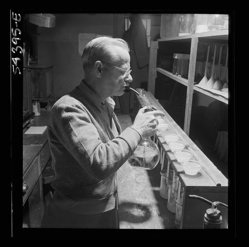 Untitled photo, possibly related to: Kingman (vicinity), Arizona. Mr. Relling, scientist in the laboratory of a concentrating plant, analyzing tungsten ore over a hot plate