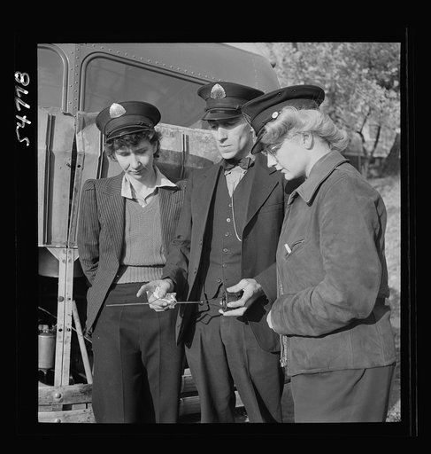 Training women to operate buses and taxicabs