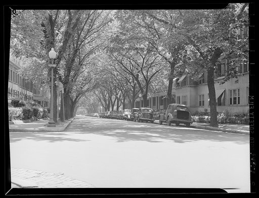 Effect of gasoline shortage in Washington, D.C.