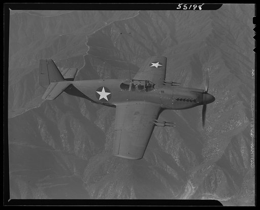 North American P-51 Mustang Fighter, called "the airplane without a mistake," is in service with Britain's hard-hitting Royal Air Force. The Mustang is the only American-built day fighter used by the Royal Air Force