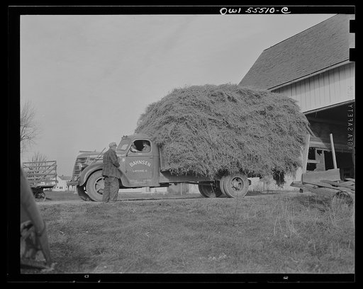 Farmer takes his hay to market near Toledo