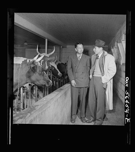 Chinese technical experts inspect model barn at University of Maryland barn, which is part of the UNRRA (United Nations Relief and Rehabilitation Administration) training center. From left: C.C. Chen and C.K. Lin