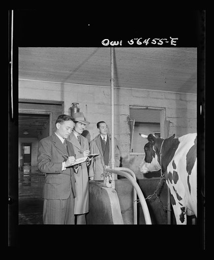 Chinese agricultural experts who are attending UNRRA (United Nations Relief and Rehabilitation Administration) training center at University of Maryland inspect model barn at the experiment station there. From left: N.F. Chang, W.T. Chang, and H.W. Li