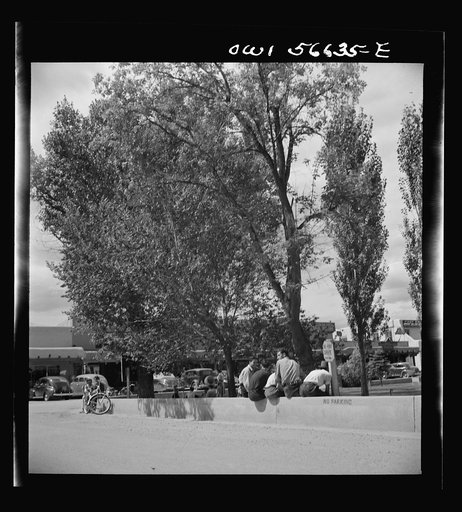 Miscellaneous lot of photographs by Barbara Wright. National Youth Administration (NYA), Works Progress Administration (WPA) and Civilian Conservation Corps (CCC)