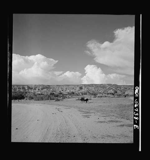 Miscellaneous lot of photographs by Barbara Wright. New Mexico