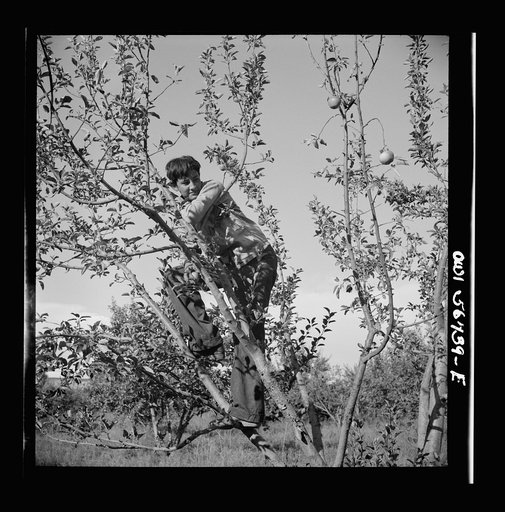 Miscellaneous lot of photographs by Barbara Wright. New Mexico