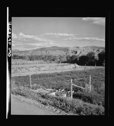 Miscellaneous lot of photographs by Barbara Wright. New Mexico