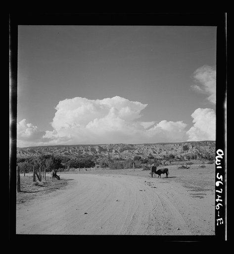 Miscellaneous lot of photographs by Barbara Wright. New Mexico