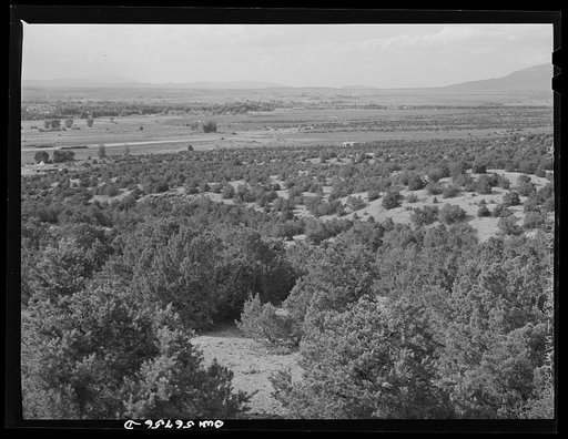 Miscellaneous lot of photographs by Barbara Wright. New Mexico